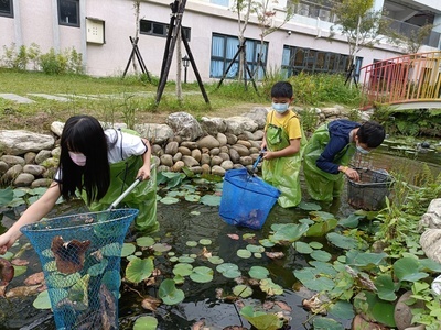 清理水面枯枝落葉維持水質